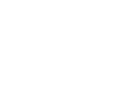 RODBOL-罗迪波尔