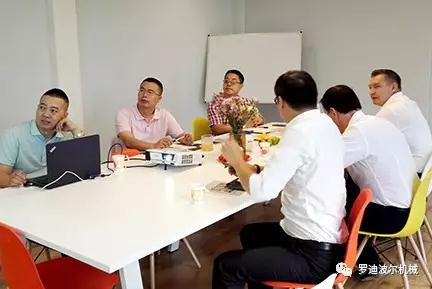 罗迪波尔